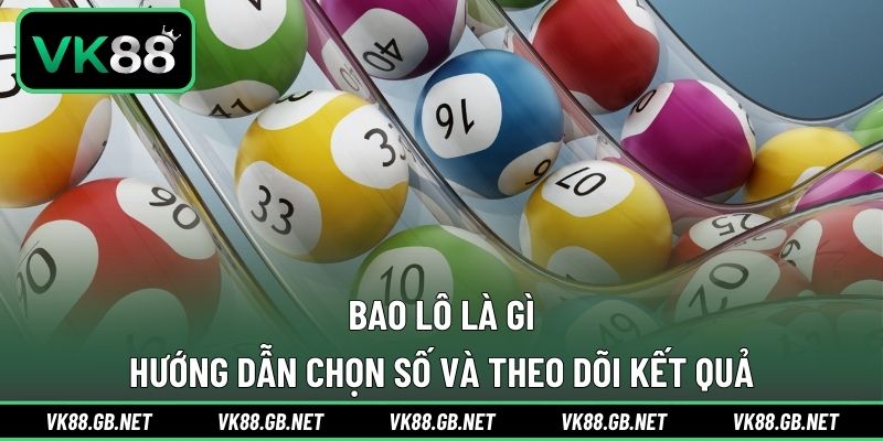 Bao Lô Là Gì