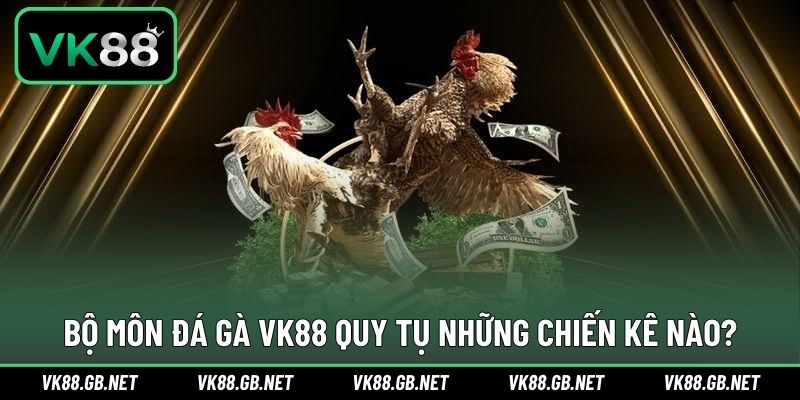 Đa dạng giải đấu ấn tượng trong bộ môn đá gà tại VK88