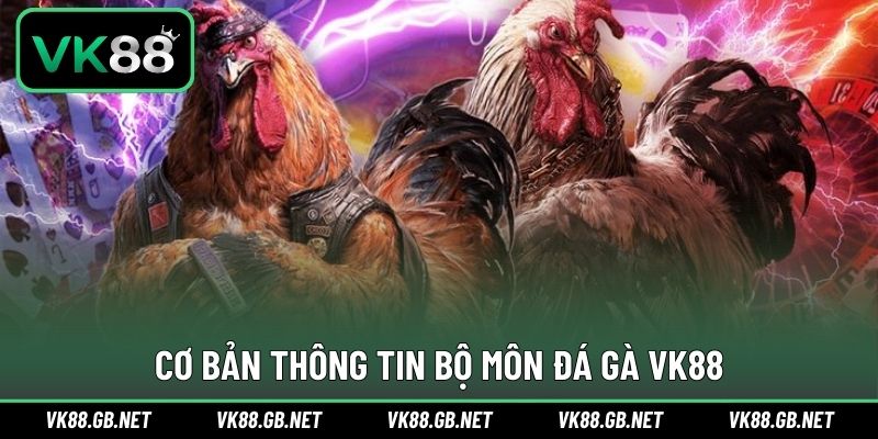 Giới thiệu thông tin bộ môn đá gà cùng VK88