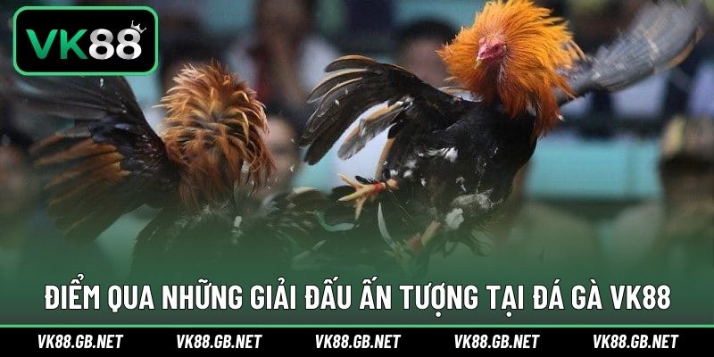 Điểm qua những giải thi đấu xuất hiện tại VK88