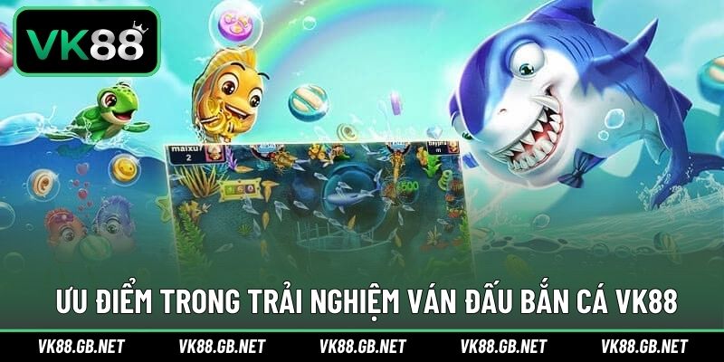 Điểm cộng trong trải nghiệm săn cá đại dương ấn tượng